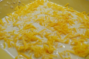 the cheddar cheese swimming in milk